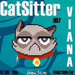 VIANA I Catsitter EP.07 @function.fm