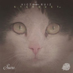 Dying Of The Light (Victor's Interstellar Remake)