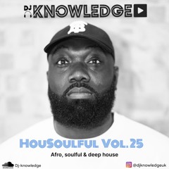 Housoulful vol 25