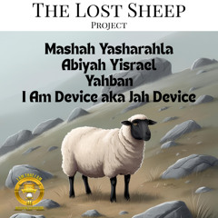 02 - Troading Home - AbiYah Yisrael - The Lost Sheep Project