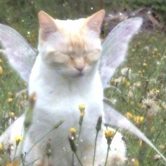 A Girl In A Sunday Dress On A Monday