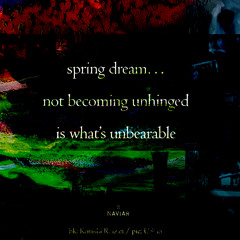 Unberable Spring (naviarhaiku596)