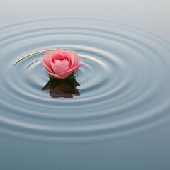 Easy like a rose