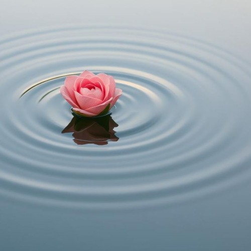 Easy like a rose