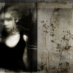 podpol'ye|ðeлąю prod. beetle, xoarwhy