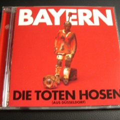 ULLI_xDoR - Galaxie Paladin ( Die Toten Hosen FC Bayern München 2024 )