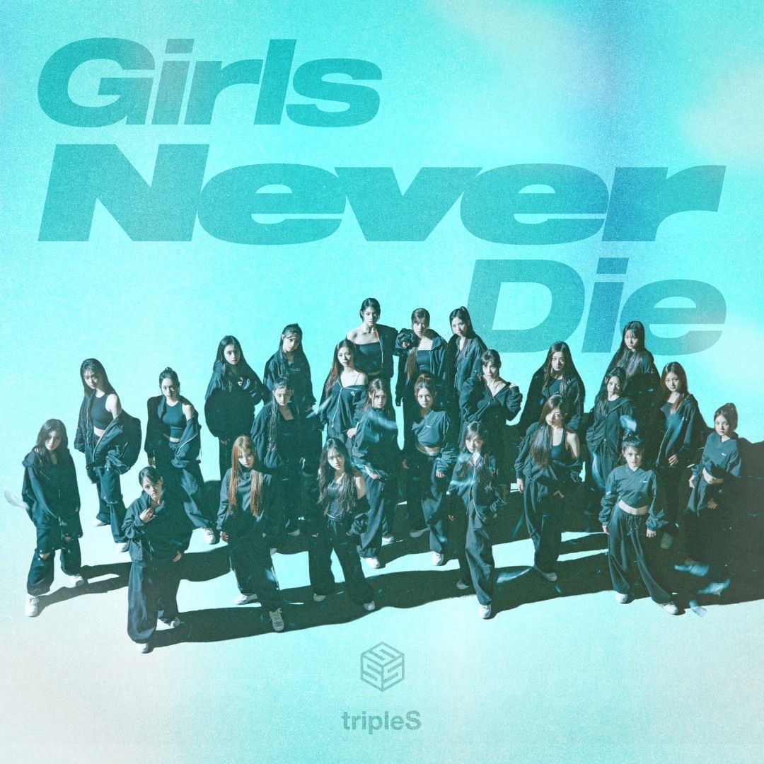 tripleS ヨンジ　うちわ Girls Never Stop tripleS ヨンジ うちわ Girls Never Stop