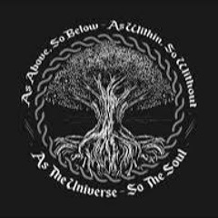 Pulchritudinous-live