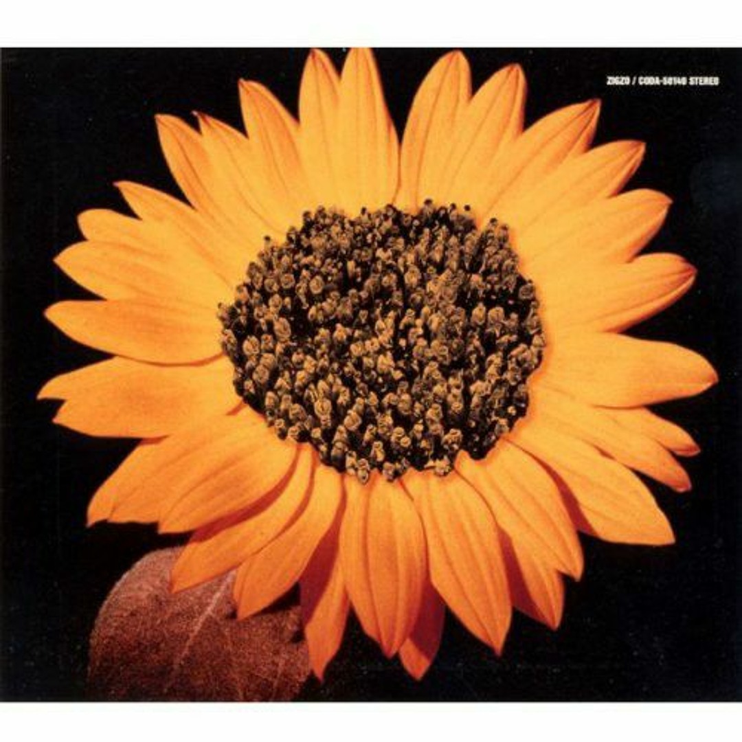 ひまわりページ Stream ZIGZO - Himawari (ひまわり) Original Ver. by Malicia