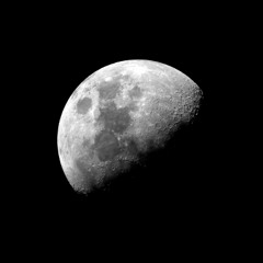 [FREE] Harlfblood (Slayr Type Beat)