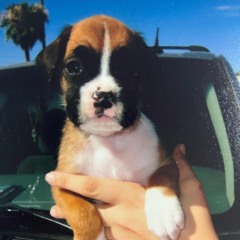 in ya phone (prod.me)