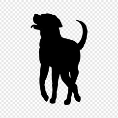 north north richmond