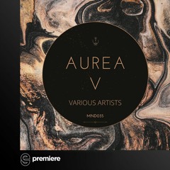 Premiere: Tadej Jaki - Minerale - Monada