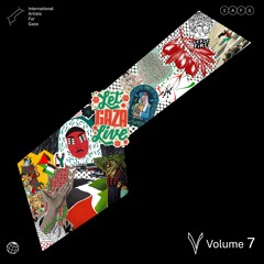 IAFG - Vol. 7 - Minimix