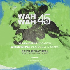 Grasshopper - Nostalgia77 Remix