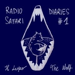 Radio Safari Diaries #1: il Lupo, the Wolf [ITA]
