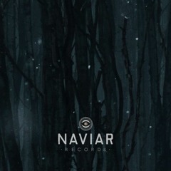 [naviarhaiku510] in pre-dawn darkness
