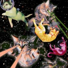 meow*meow •「crush de funk」