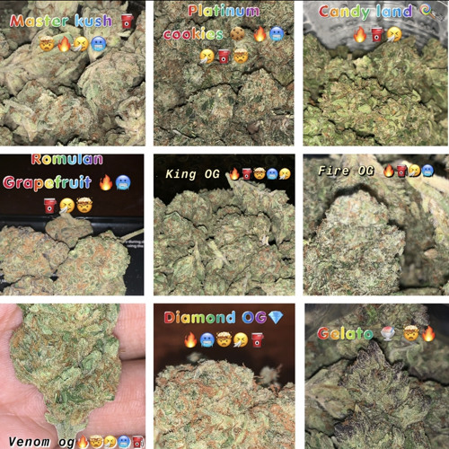 Caspernova- I Get High