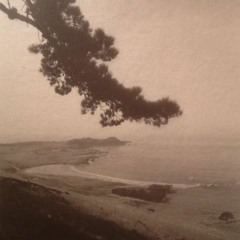 Depersonalization - ...It Turns Your Life To Grey. (thesandwrvith remix)