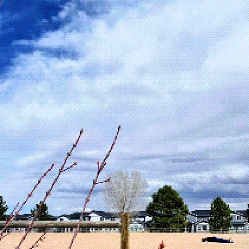 underscores, virtual riot - everybody's dead! (RTG remix)