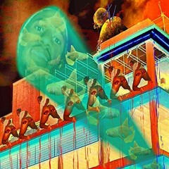 LOFTY305 - GALAPAGOS