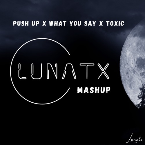 Push Up X What You Say X Toxic (LUNATX Mashup)