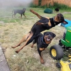 bort2 Abmaj_149 p.kd