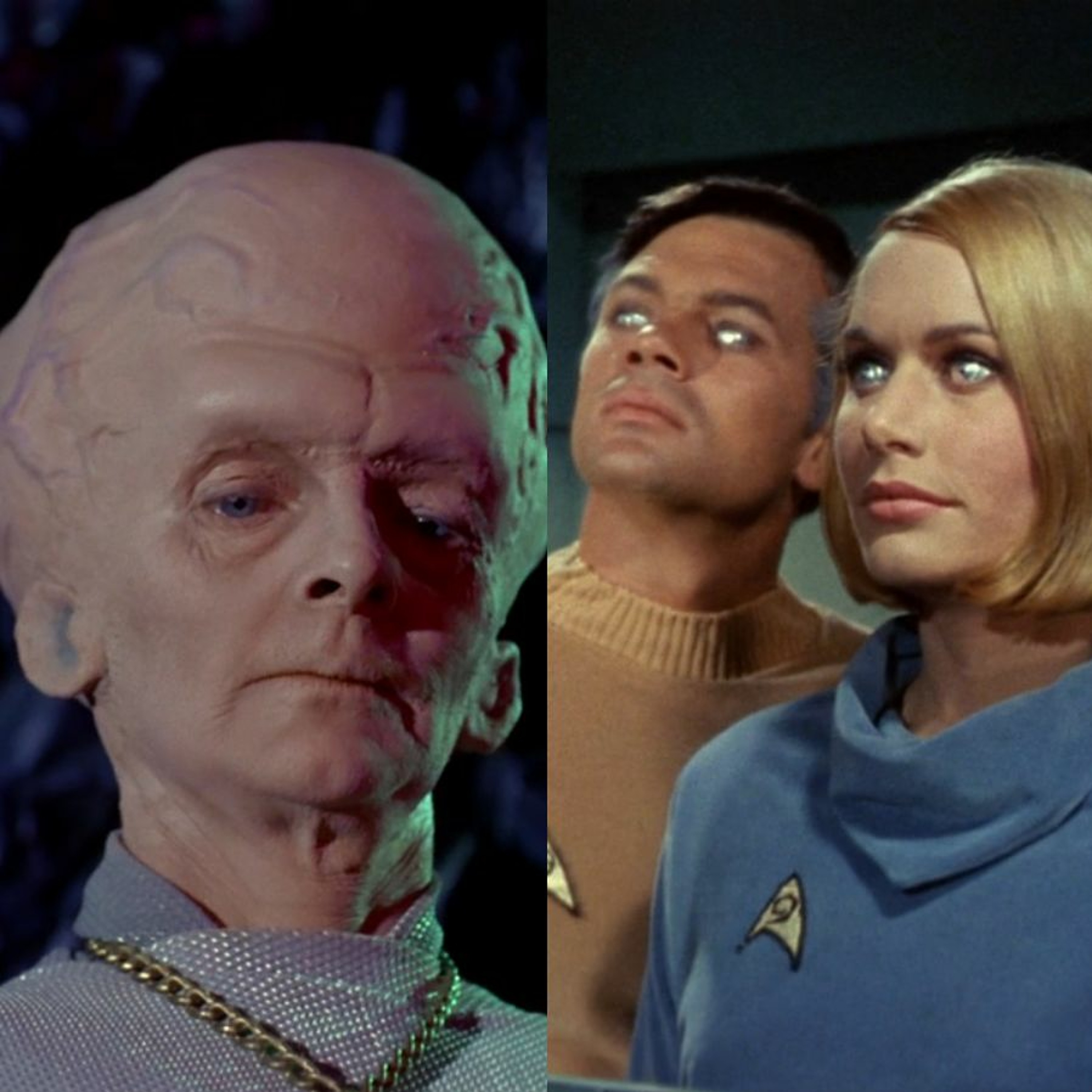 A Star to Steer Her By