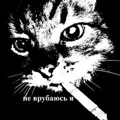 не врубаюсь