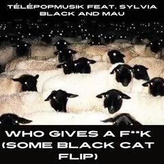Who Gives a F**k- Telepopmusik (Some Black Cat Flip)