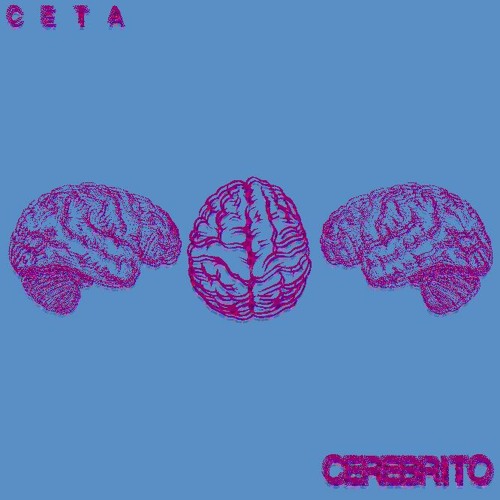 Cerebrito-c.e.t.a