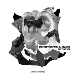 Premiere: Monkey Safari, DJ Island - Fix Your Life [Thick As Thieves]