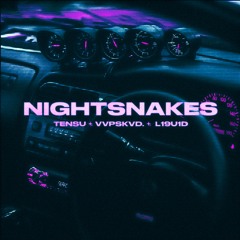 NIGHTSNAKES (feat. L19U1D & vvpskvd.)