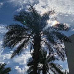 عبدالله طارق - عزيز الروح