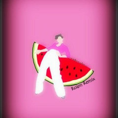 Harry Styles - Watermelon Sugar (Roam Remix)