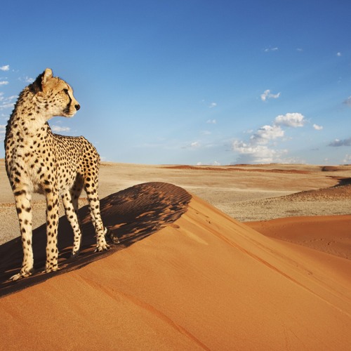 Stream Timestudent By BarberBoy Listen Online For Free On SoundCloud Stream Timestudent By BarberBoy Listen Online For Free On SoundCloud