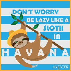 Don't Worry Be Lazy Like a Sloth in Havana