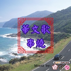 華文歌曲串燒 Electro House