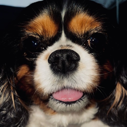 SLEAZE: FULL MIXTAPE WILL DELETE LATER