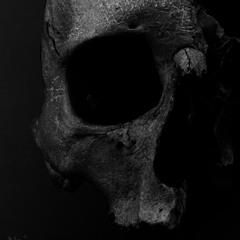 suisside - skeleton (prod. namahage)
