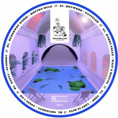 Premiere : Toof - Lost in Ritz (RL002)