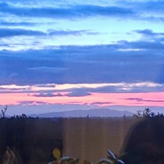 blanket // try to make it through the night