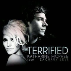 Terrified (Katherine McPhee ft. Zachary Levi) Cover