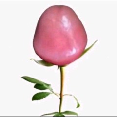 Đừng Nhìn Em Khóc FT Nhìn Về Phía Em Remix