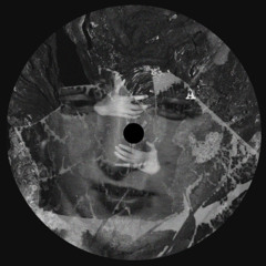 TLG04 | And Acidic Incl. Gotshell Remix