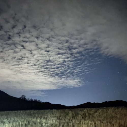 It’s 4am and I’m still awake off the adderall