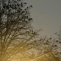 i dont wanna lose u.