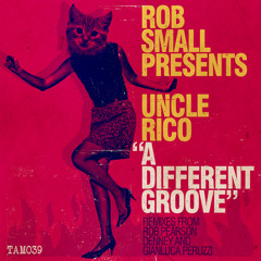 A Different Groove (Rob Pearson Remix)