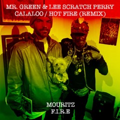Mr. Green and Lee Scratch Perry - Callaloo/Hot Fire (Mouritz Rework)